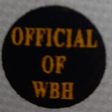 pelota de futbol STARBALL  PRO Ashtang tamaño 5