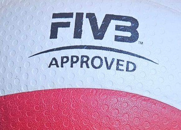 PELOTA DE VOLEY STAR GRAND CHAMPION VB225-34