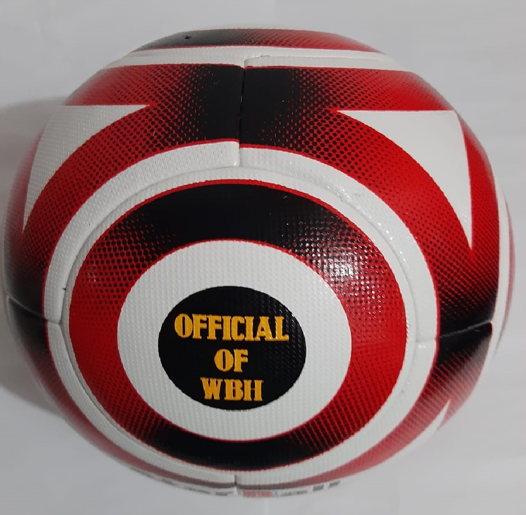 BOLAS DE ENTRENADOR PRO "BONDED" STARBALL